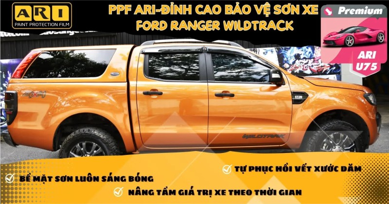 Dán PPF cho xe FORD RANGER WILDTRACK XLS. Bảo vệ sơn xe luôn mới