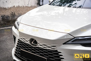 Dán PPF xe Lexus RX 350h - Hình 14