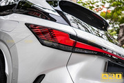 Dán PPF xe Lexus RX 350h - Hình 8