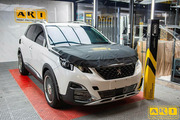 Dán PPF xe Peugeot 3008 - Hình 1